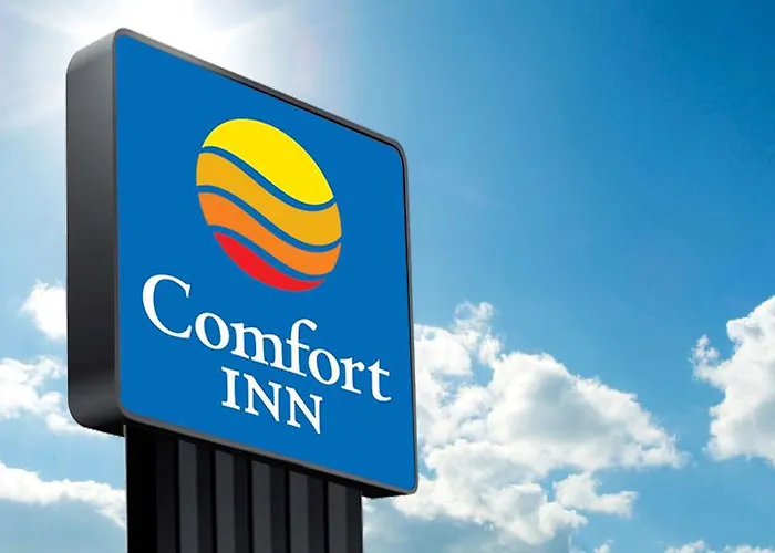 Comfort エタンプ